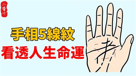 月暈紋|手掌上紋線所代表的意義－心理暨命理師 提摩揚(Timoyang) 的不。